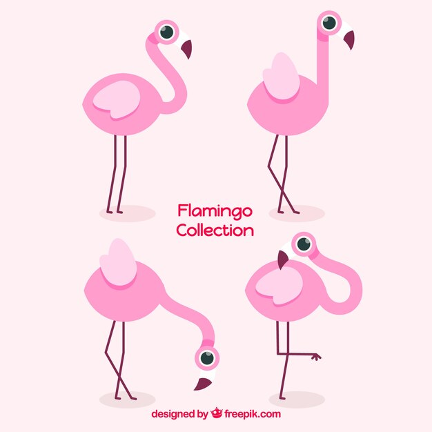 Colección de flamencos planos en poses diferentes