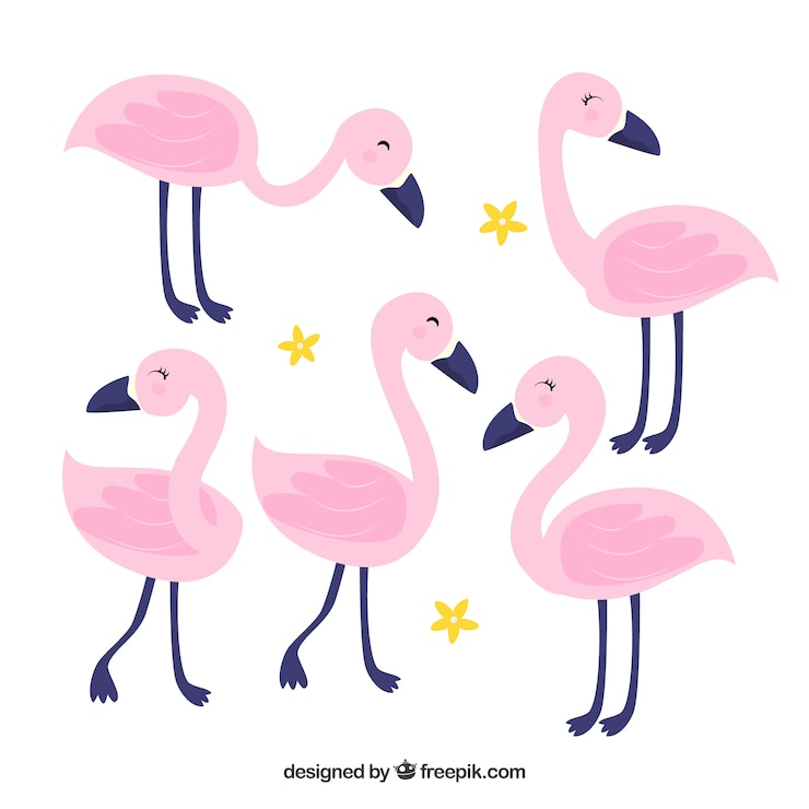 Vector gratuito colección de flamencos planos en poses diferentes