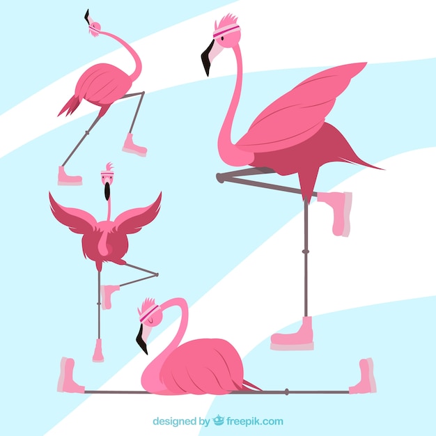 Vector gratuito colección de flamencos planos en poses diferentes