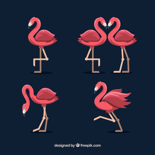 Colección de flamencos planos en poses diferentes