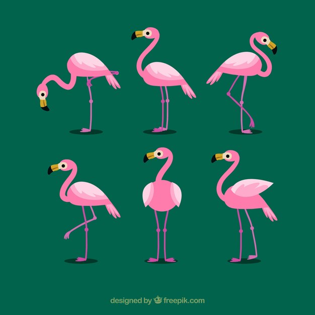 Colección de flamencos con posturas diferentes en estilo plano