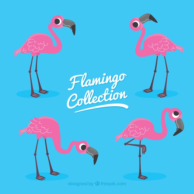 Colección de flamencos con posturas diferentes en estilo plano
