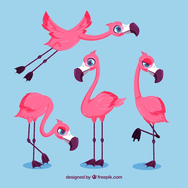 Colección de flamencos con posturas diferentes en estilo plano