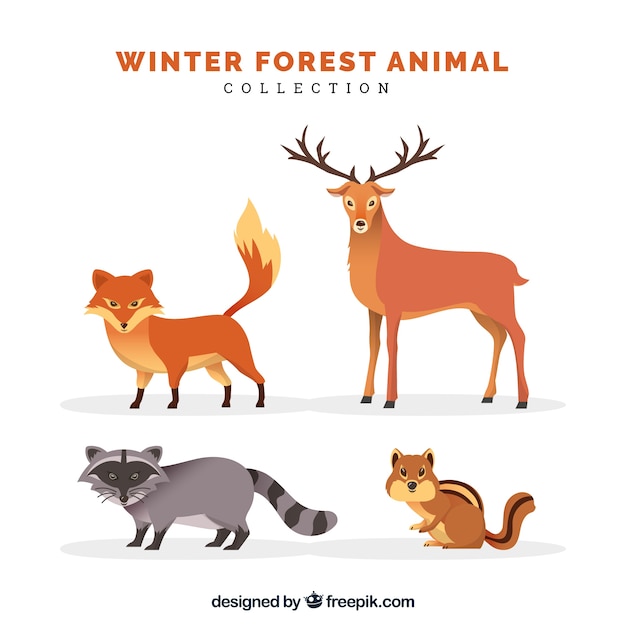 Vector gratuito colección flat de animales de invierno