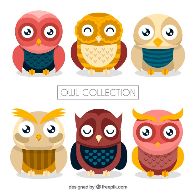 Colección flat  de seis búhos