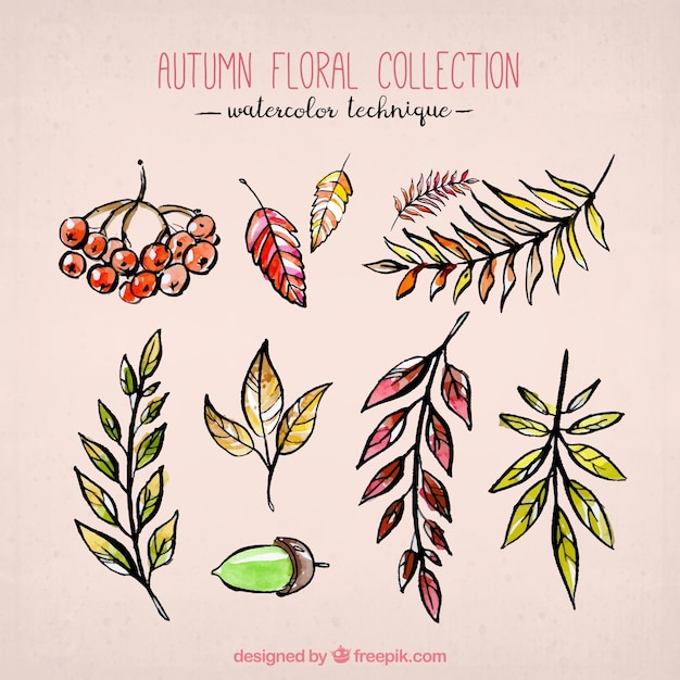 Vector gratuito colección floral en acuarela