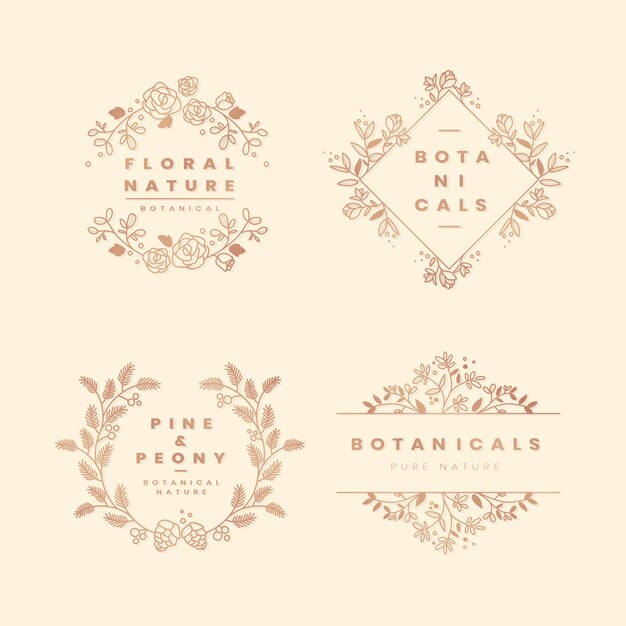 Coleccion floral botanica