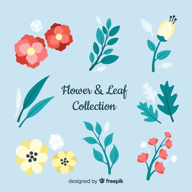 Colección floral dibujada a mano