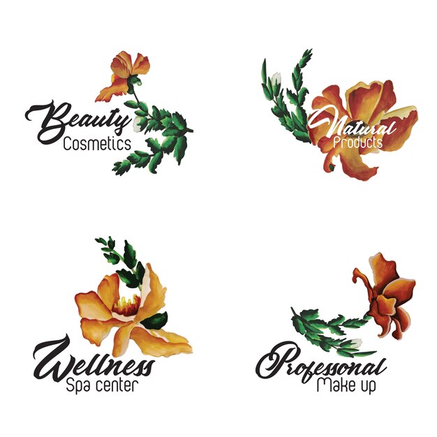 Colección floral del logotipo de la acuarela