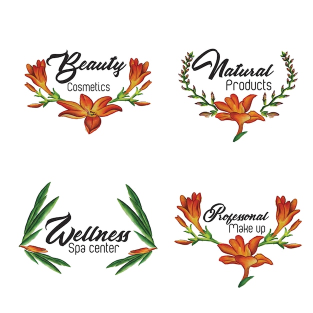 Colección floral del logotipo de la acuarela