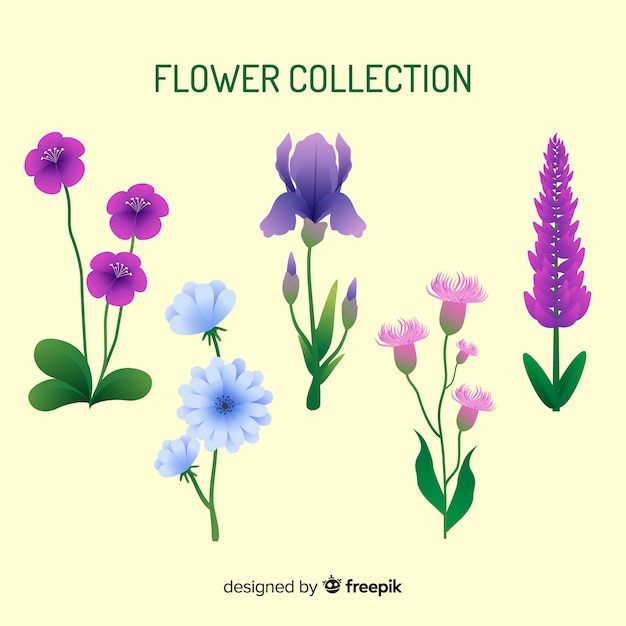 Vector gratuito colección floral moderna con diseño plano