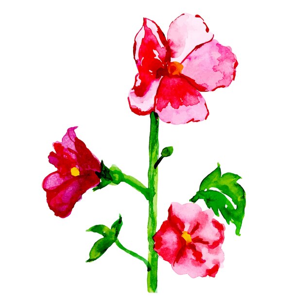 Colección floral primavera de acuarela