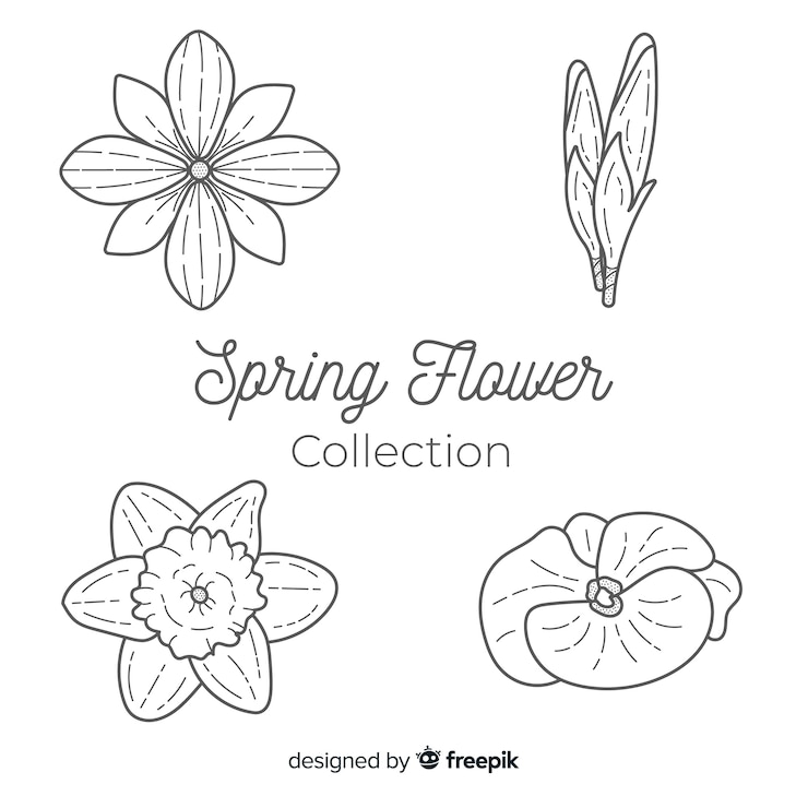 Vector gratuito colección floral de primavera
