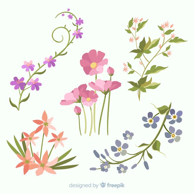 Colección floral de primavera