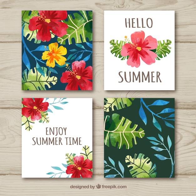 Vector gratuito colección floral de tarjetas de verano