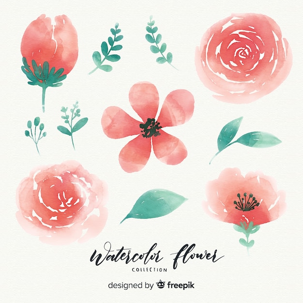 Vector gratuito colección flores acuarela con hojas