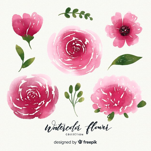 Colección flores acuarela con hojas