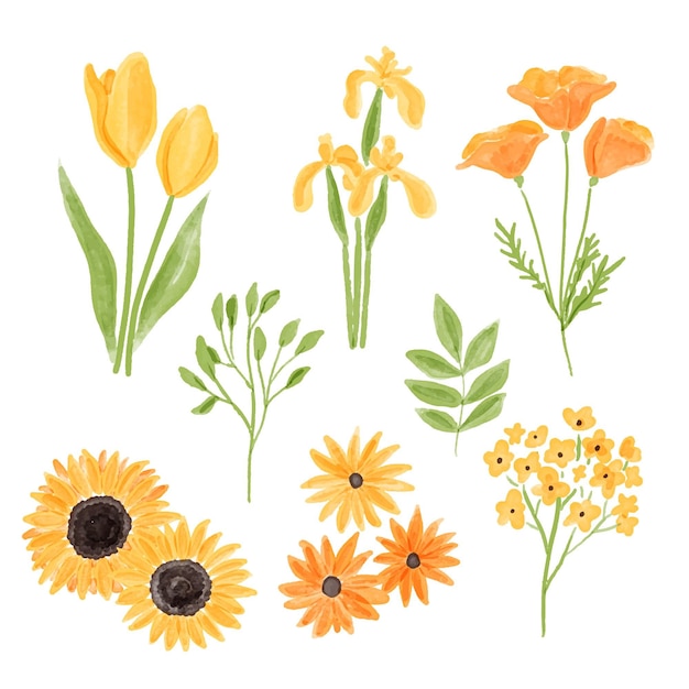 Vector gratuito colección de flores de acuarela pintadas a mano