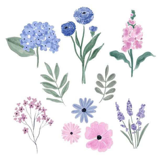 Vector gratuito colección de flores de acuarela pintadas a mano