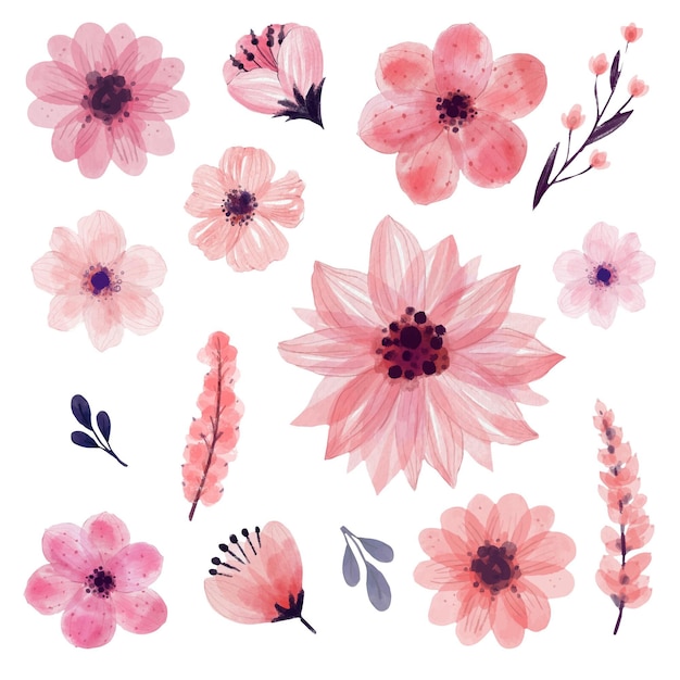 Vector gratuito colección de flores de acuarela pintadas a mano