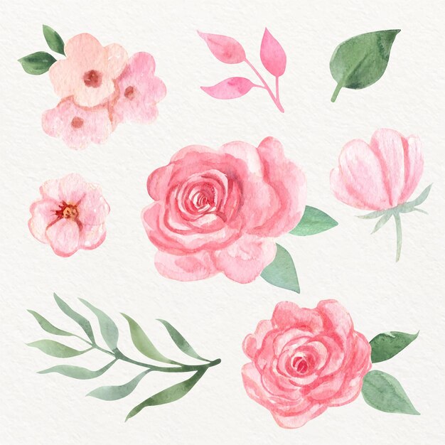 Colección de flores de acuarela pintadas a mano