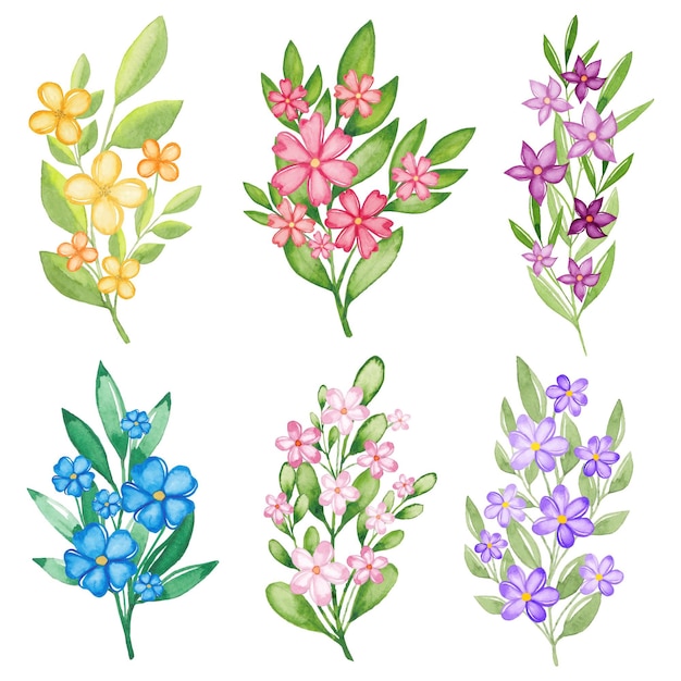 Vector gratuito colección de flores de acuarela pintadas a mano