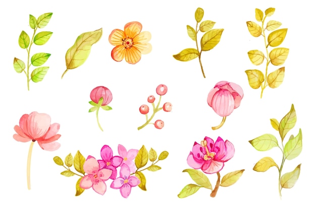 Colección de flores de acuarela pintadas a mano