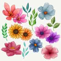 Vector gratuito colección de flores de acuarela pintadas a mano