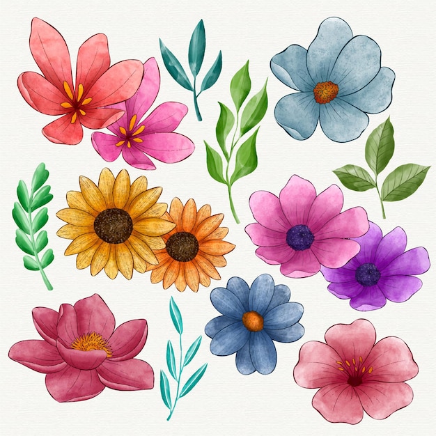Colección de flores de acuarela pintadas a mano