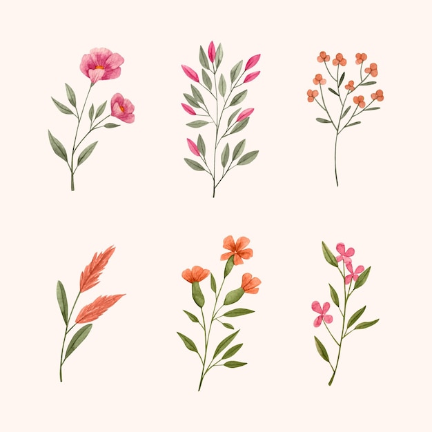 Colección de flores de acuarela pintadas a mano