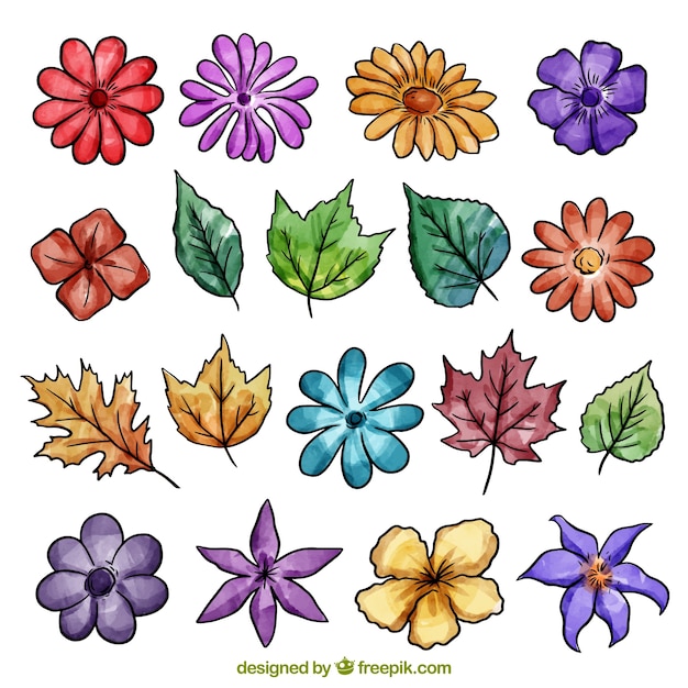 Vector gratuito colección de flores de acuarela