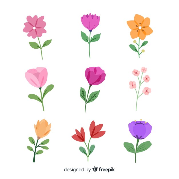 Colección de flores en acuarela