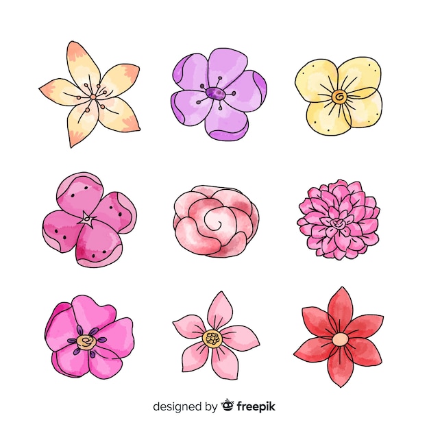 Vector gratuito colección de flores de acuarela