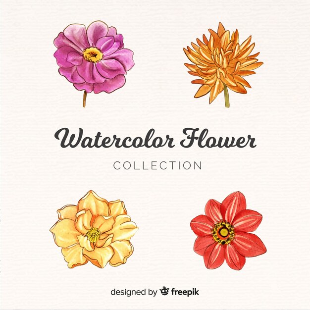 Colección de flores en acuarela
