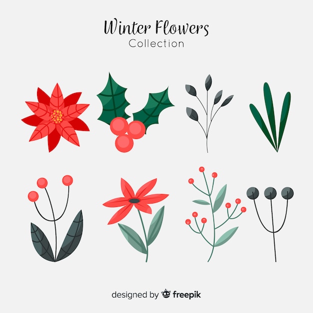 Colección flores y bayas bonitas