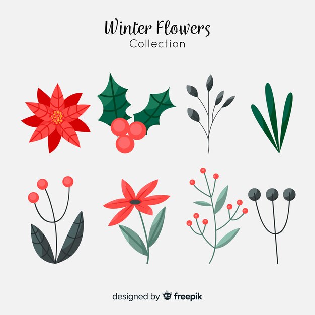 Colección flores y bayas bonitas
