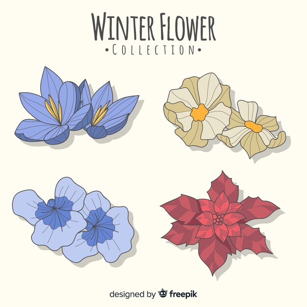 Colección flores bonitas invierno