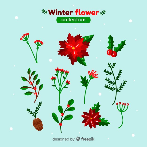 Colección flores bonitas invierno