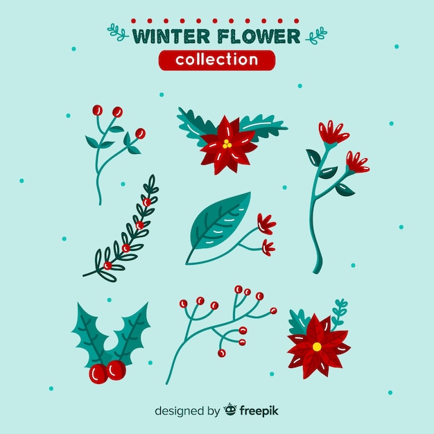 Colección flores bonitas invierno