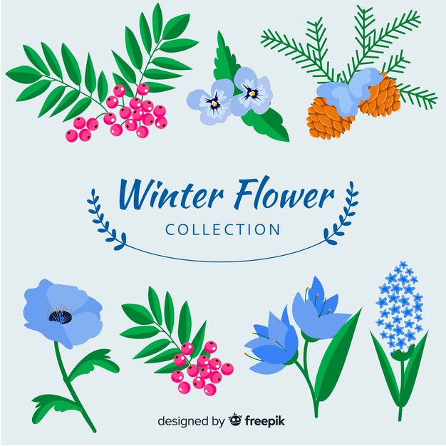 Colección flores bonitas invierno