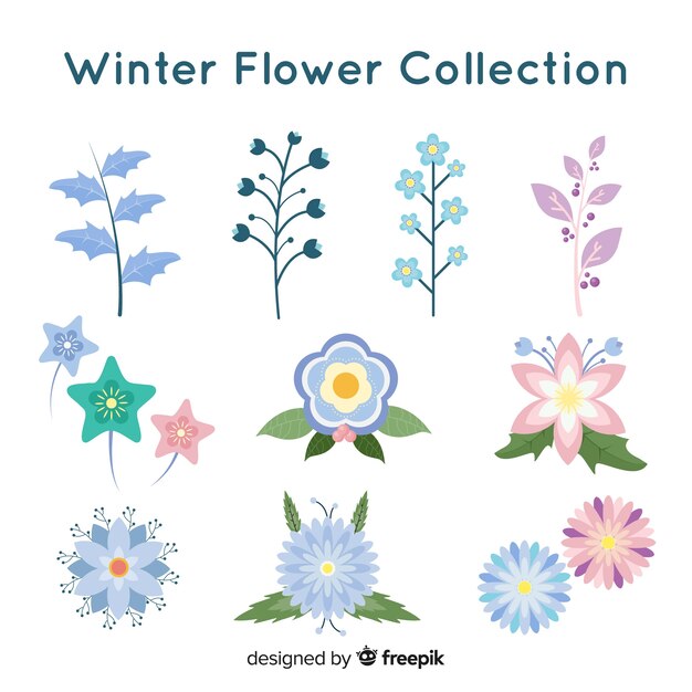 Colección flores bonitas invierno