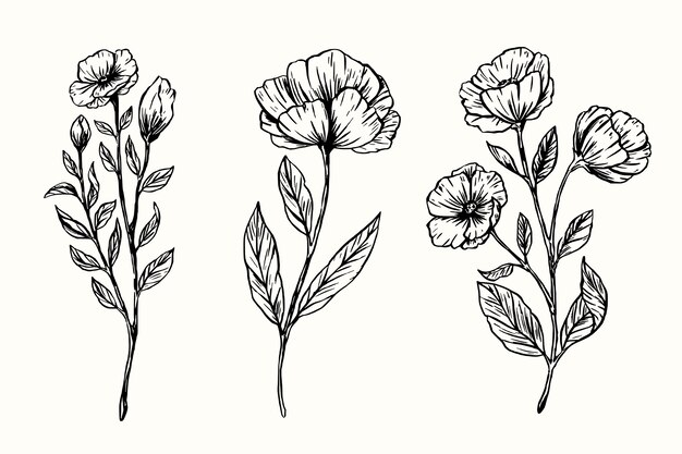 Colección de flores de botánica vintage dibujada a mano realista