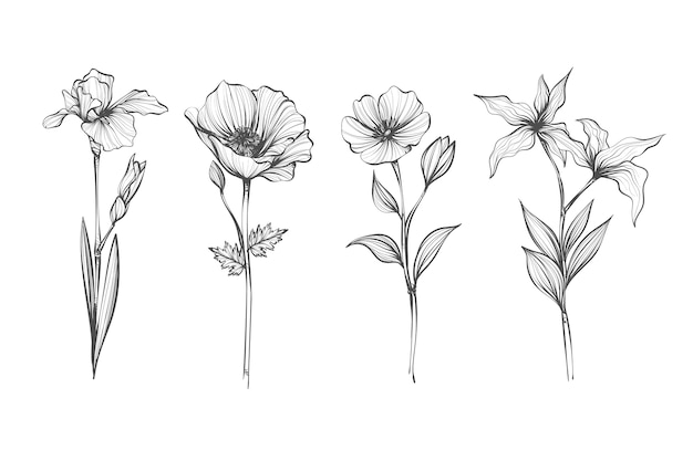 Colección de flores de botánica vintage dibujada a mano realista