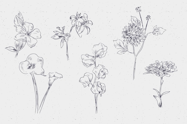 Colección de flores de botánica vintage dibujada a mano realista