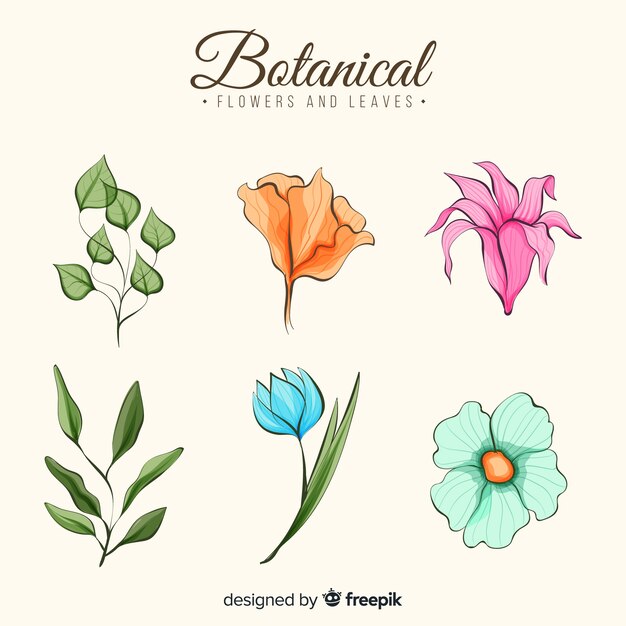 Colección de flores botánicas en acuarela