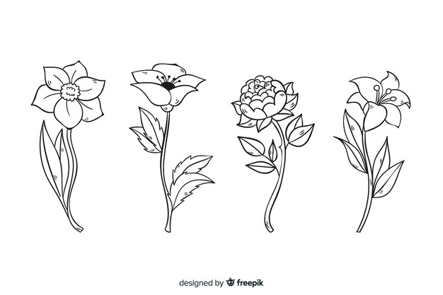 Colección de flores botánicas dibujadas a mano realista