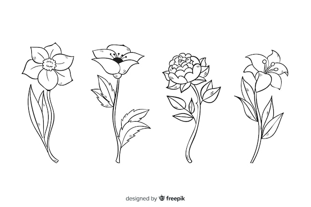 Colección de flores botánicas dibujadas a mano realista