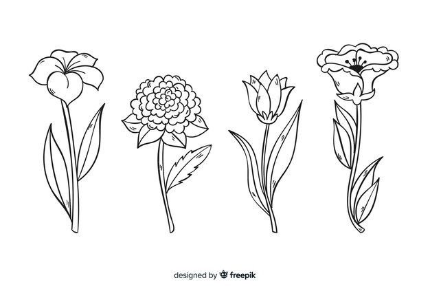 Colección de flores botánicas dibujadas a mano realista