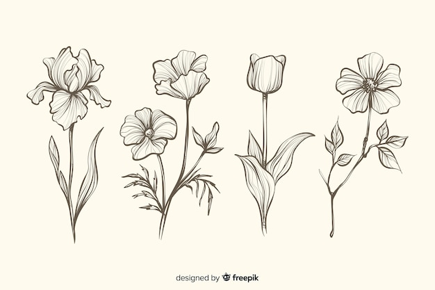 Colección de flores botánicas realistas dibujadas a mano