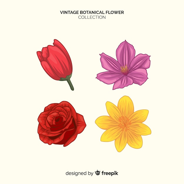 Colección de flores botánicas vintage